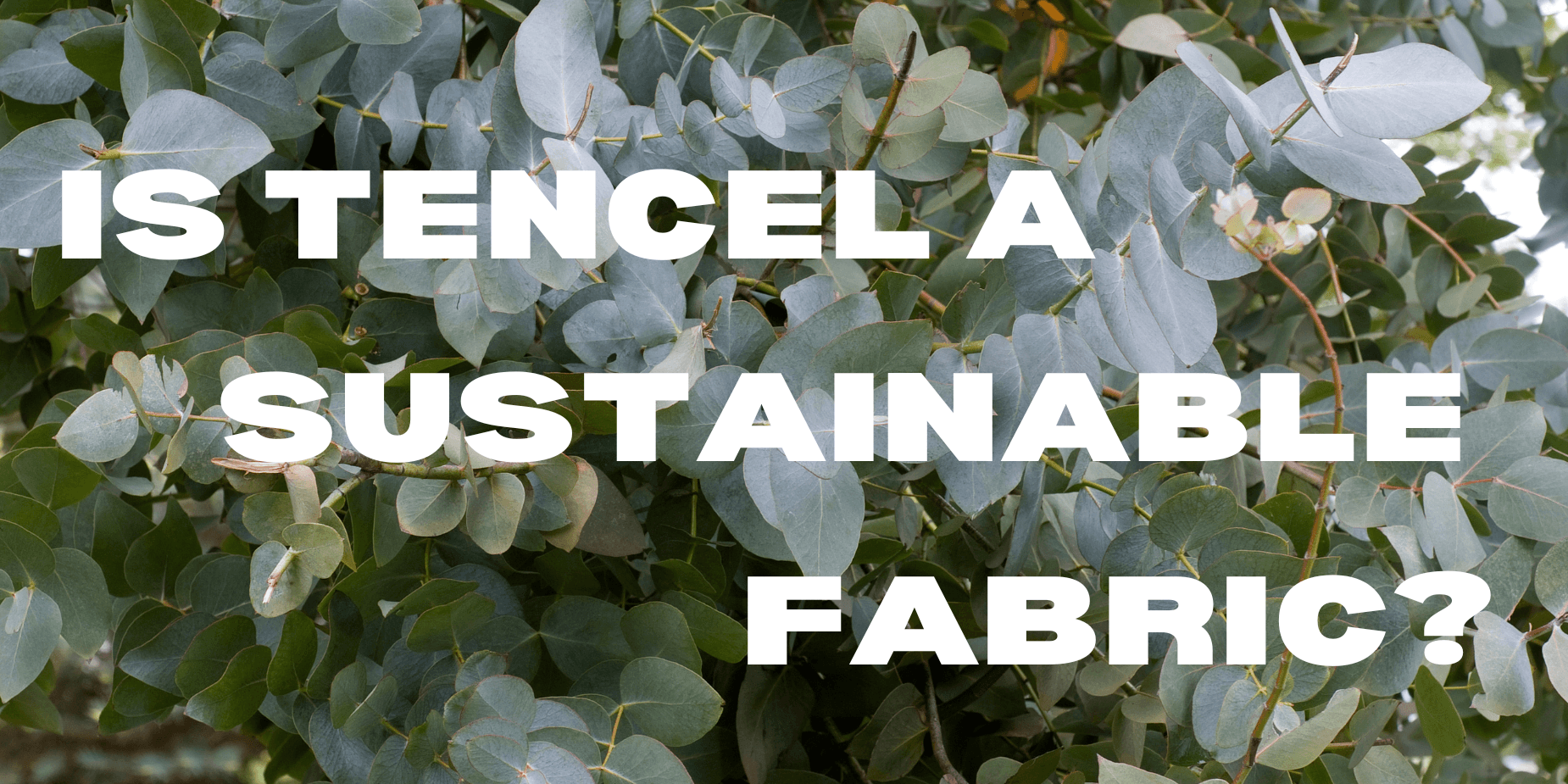Is tercel sustainable